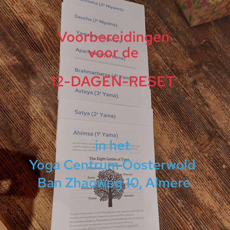 12 dagen reset voorbereidingen